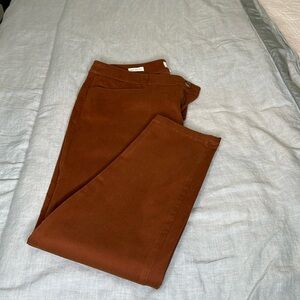 Loft Petite Pants
